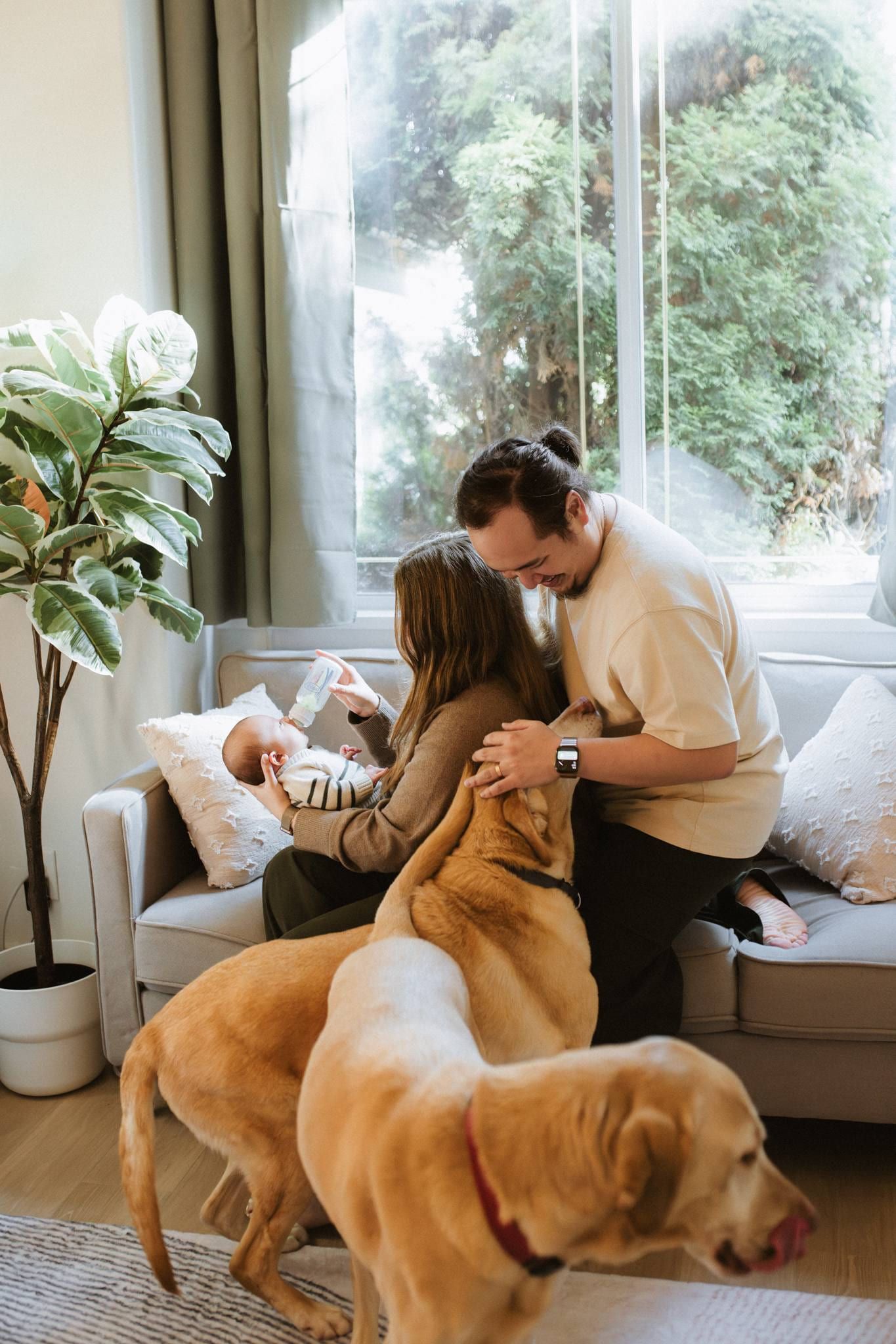 Parents with their newborn and dog on a sofa by the window