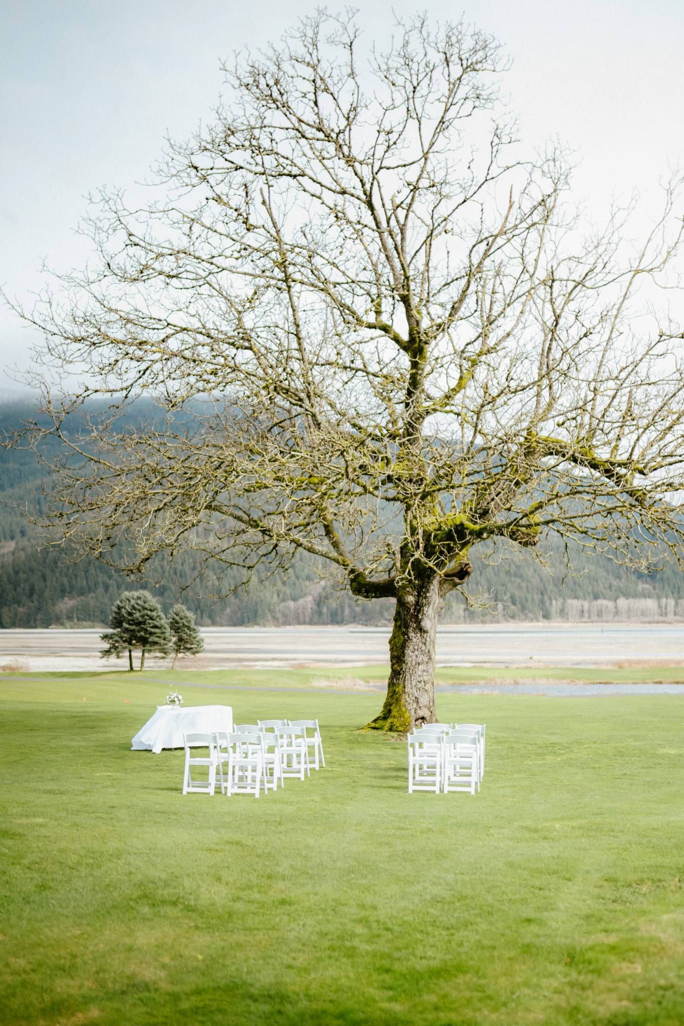 White ceremony chairs set beneath a bare oak tree with mountains in the distance