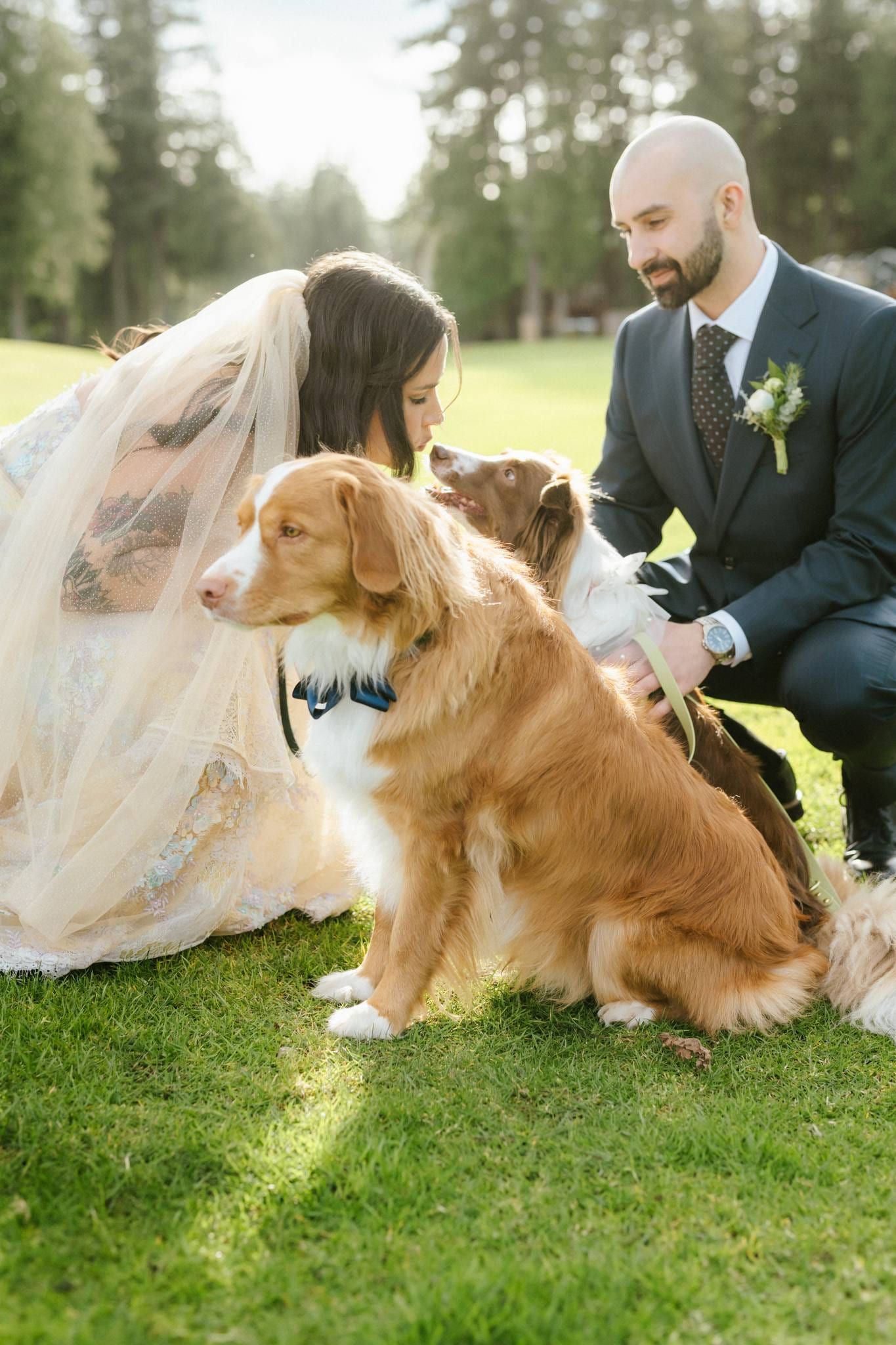 Bride and groom crouched with their two dogs on the lawn