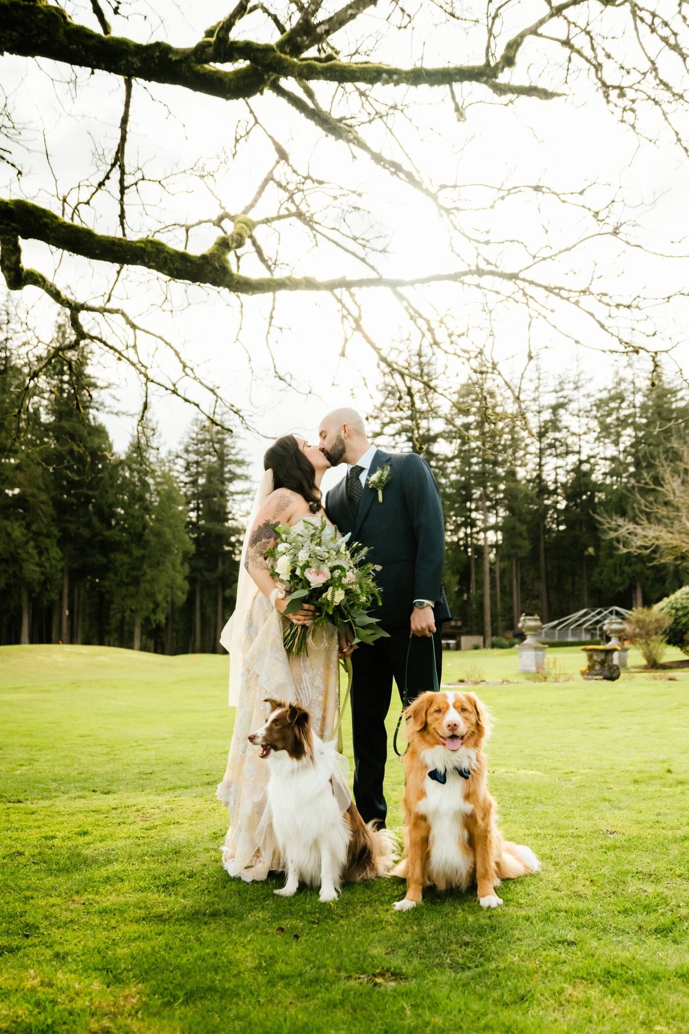 Couple with their two dogs beneath a bare oak tree on the lawn