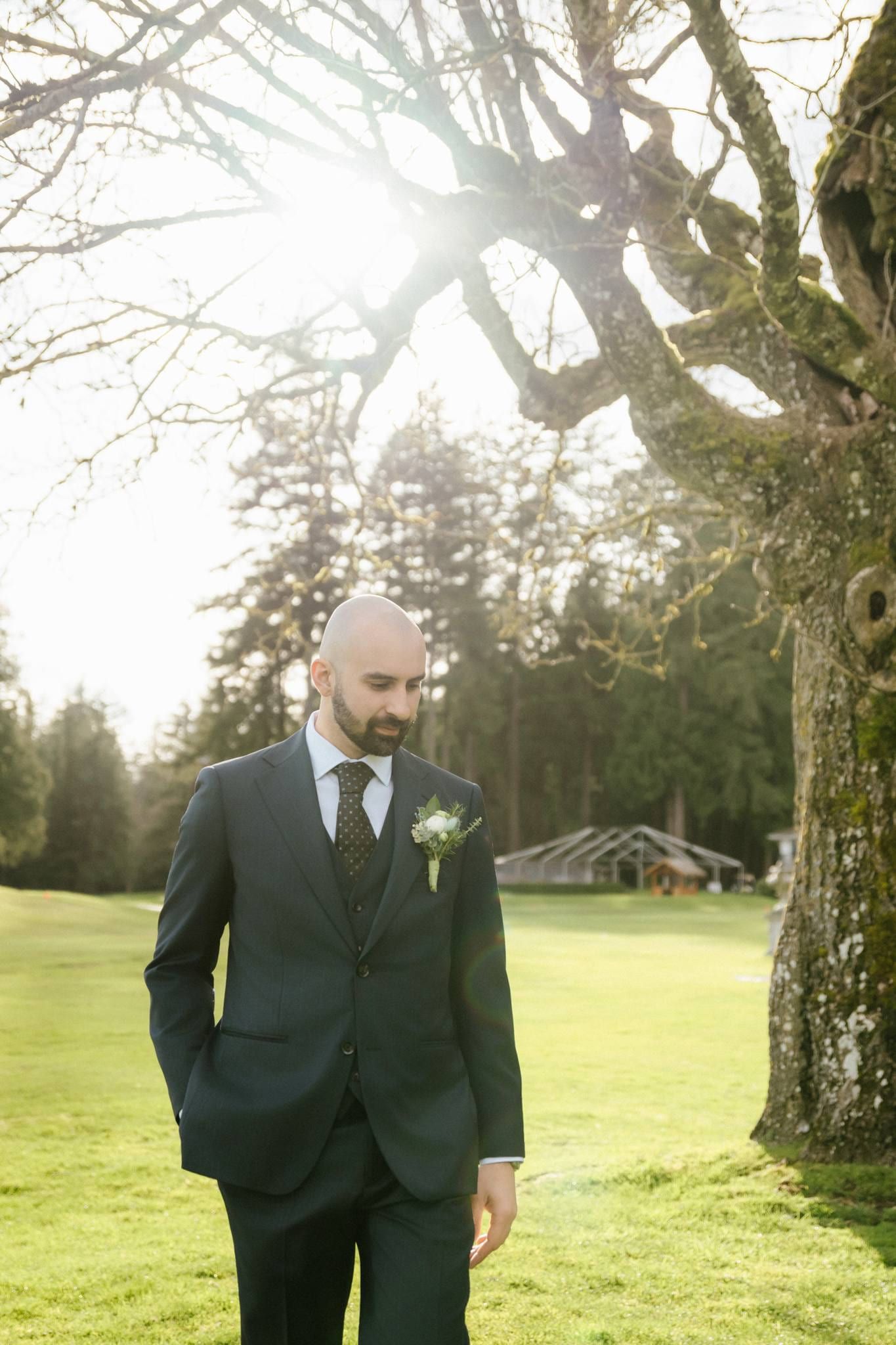 Groom standing beneath a mossy tree with the sun flaring through the branches
