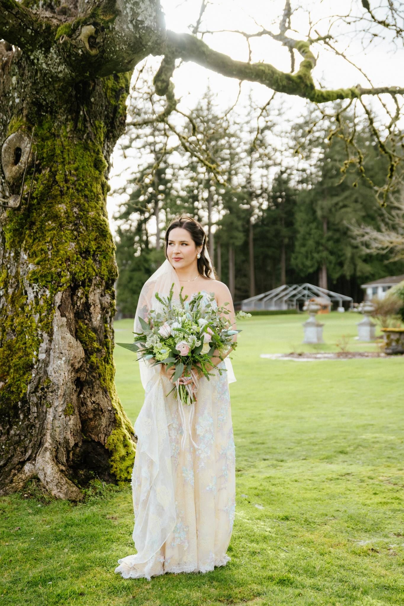 Bride with her bouquet standing beneath a mossy oak