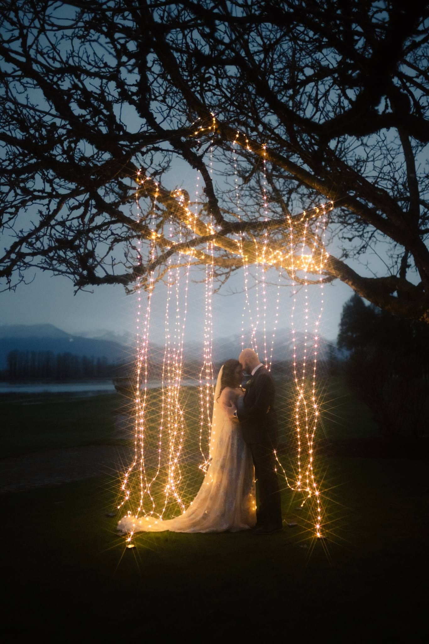 Couple beneath a tree strung with fairy lights at dusk