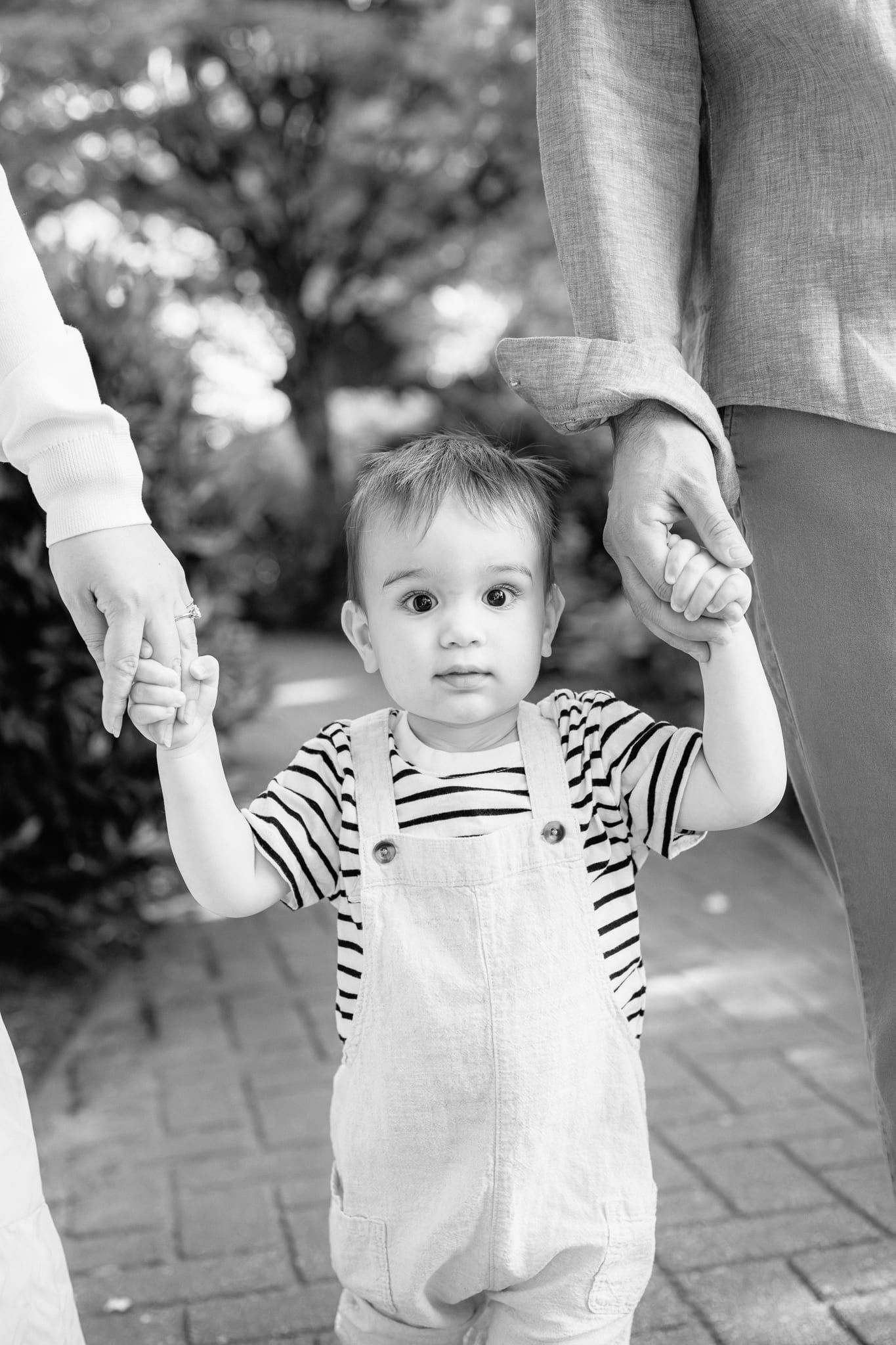 Family black and white photos, a toddler in striped overalls holding his parents' hands as he walks