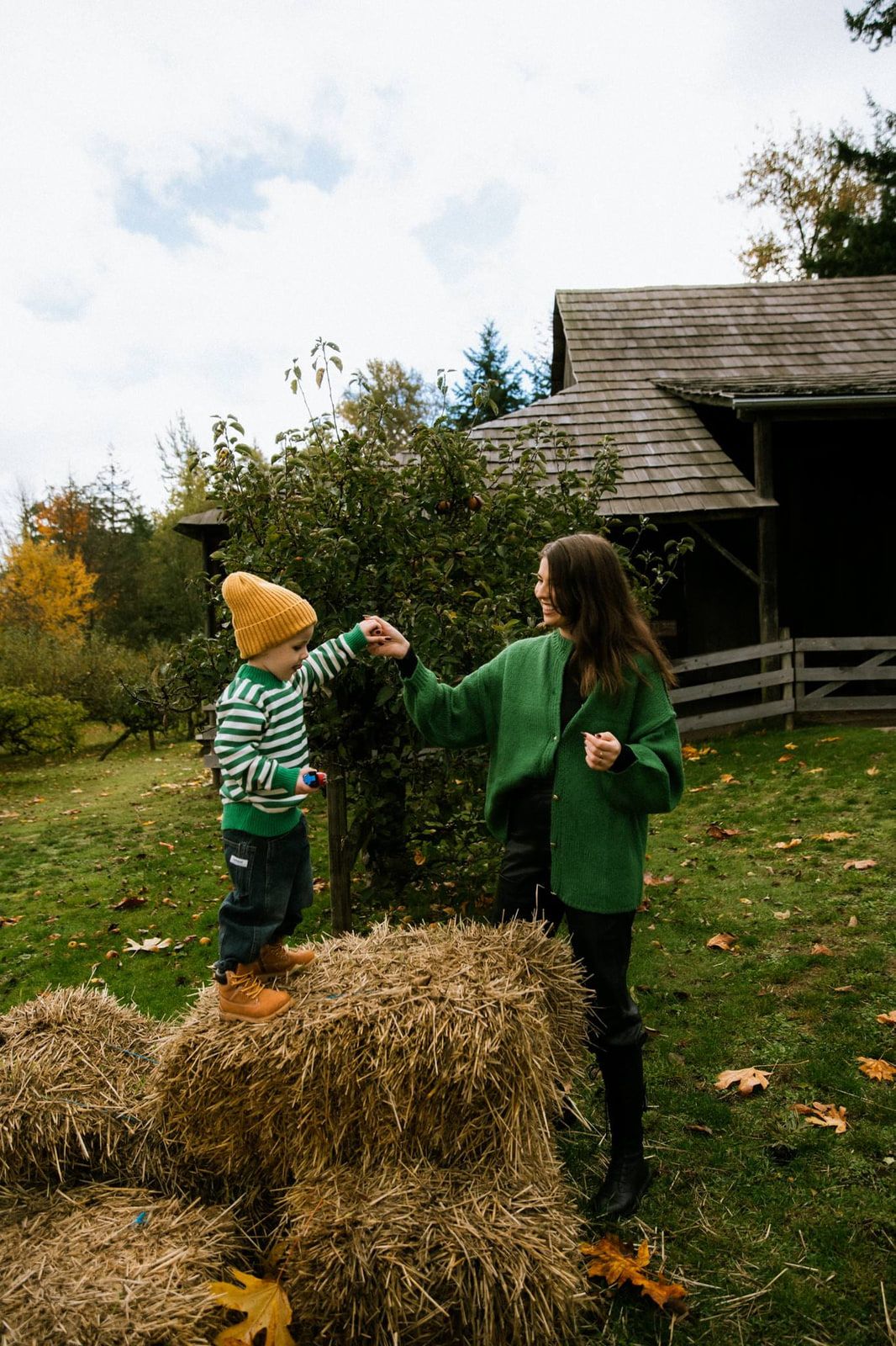 Field family photos near an old wooden barn, a toddler standing on hay bales reaches out to hold hands with a mother