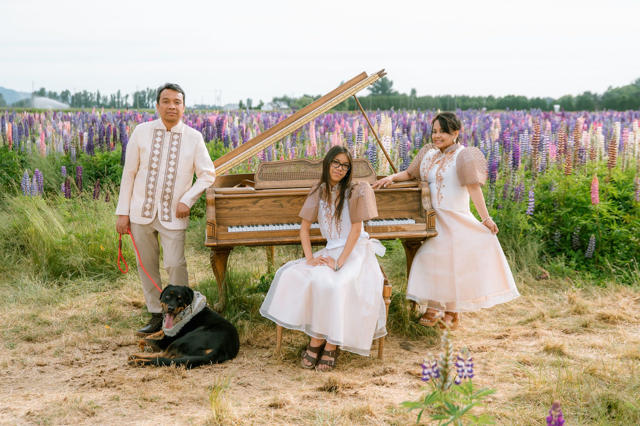 Family pet photography in a lupin field, family in white with their dog beside a vintage piano