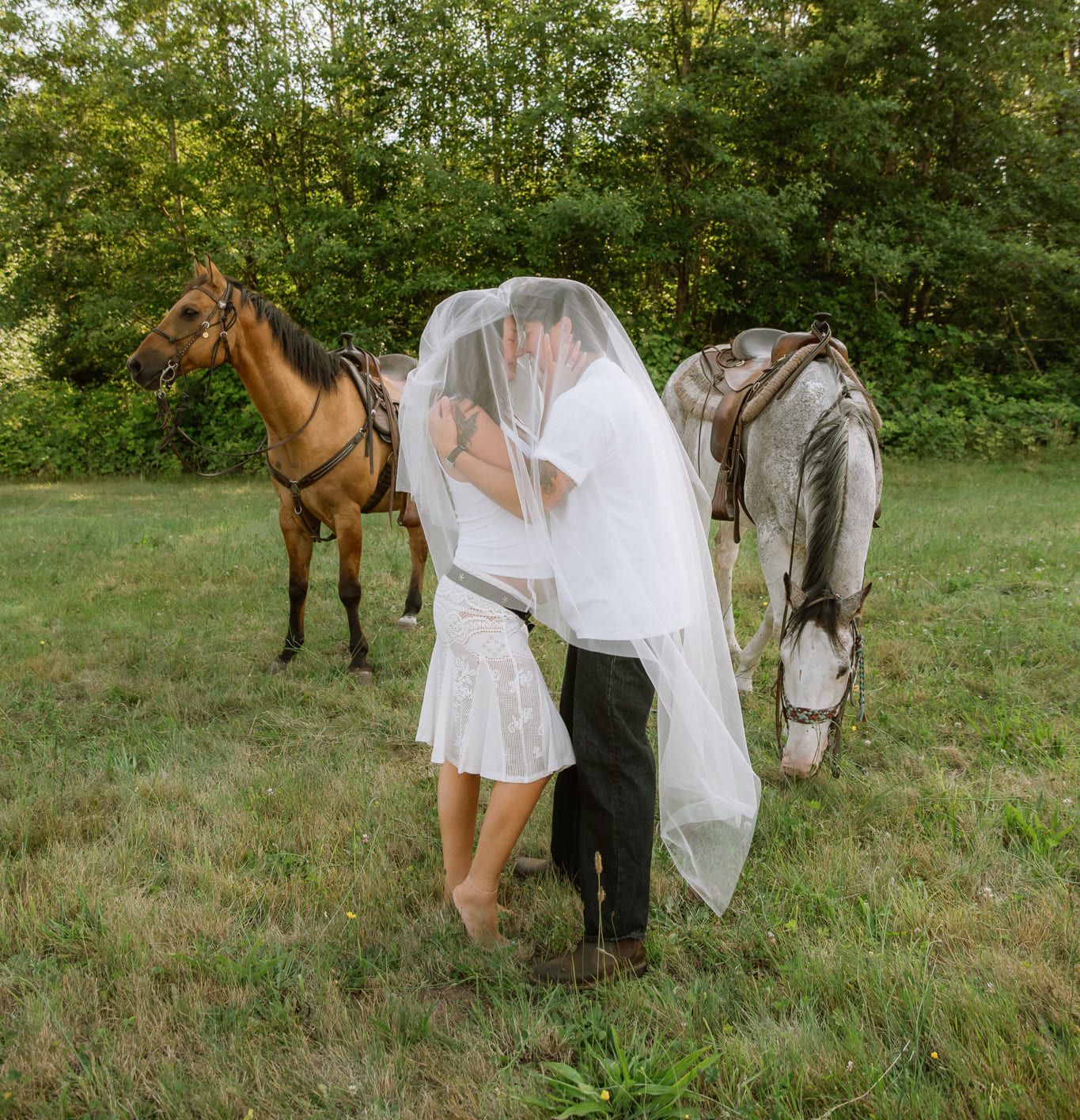 Langley maternity photographer, expecting couple kissing under a sheer veil in a field with two horses