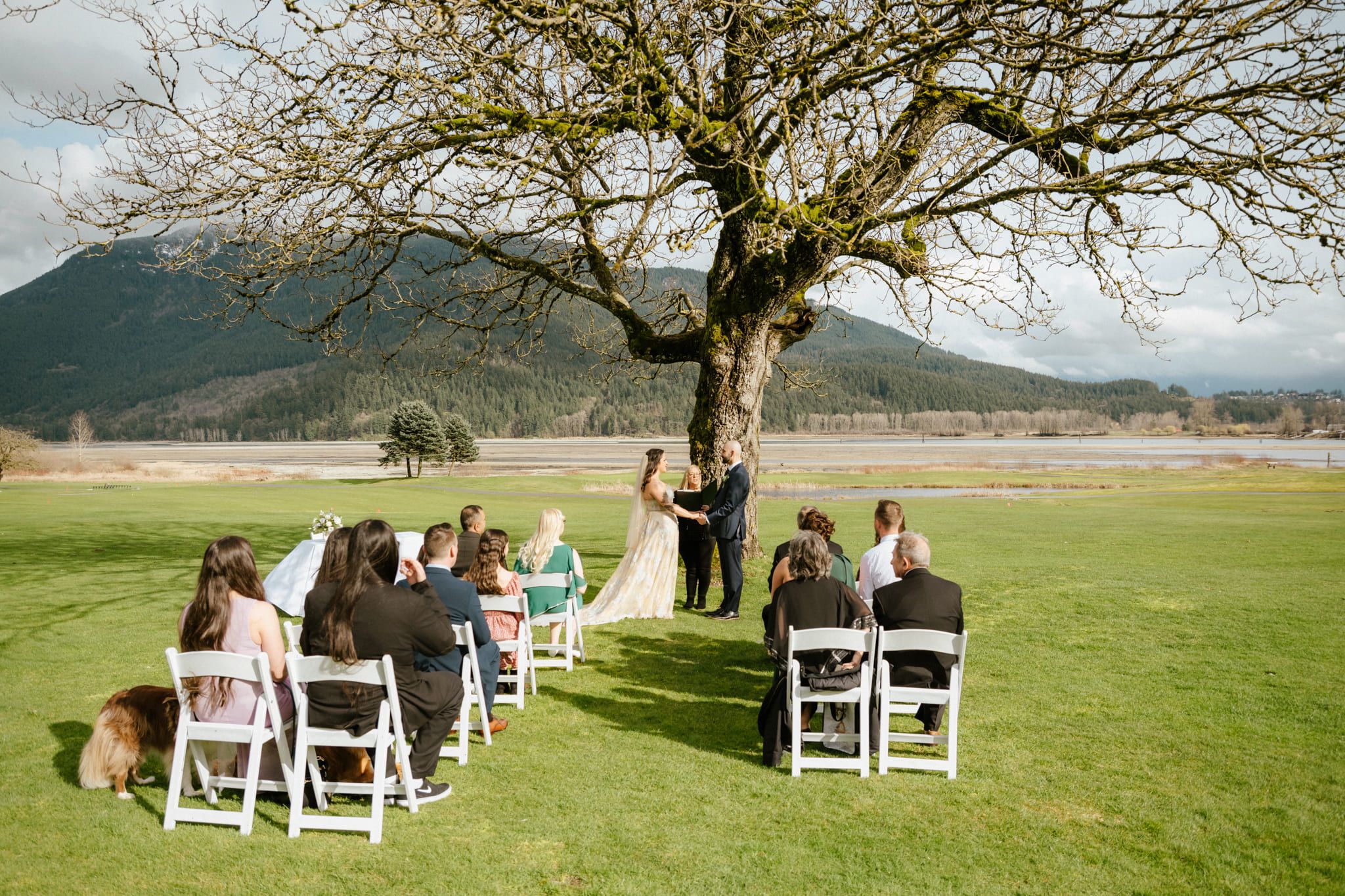 Mountain elopement photos, small ceremony under a large tree in a field with mountains behind