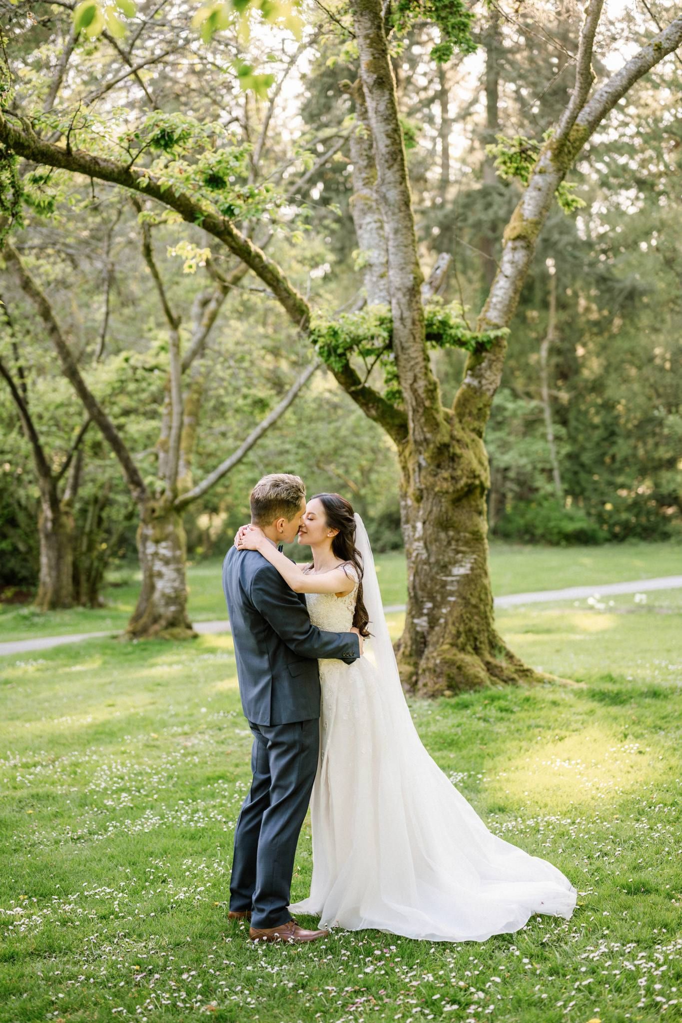 Couple embracing on the lawn beneath tall trees