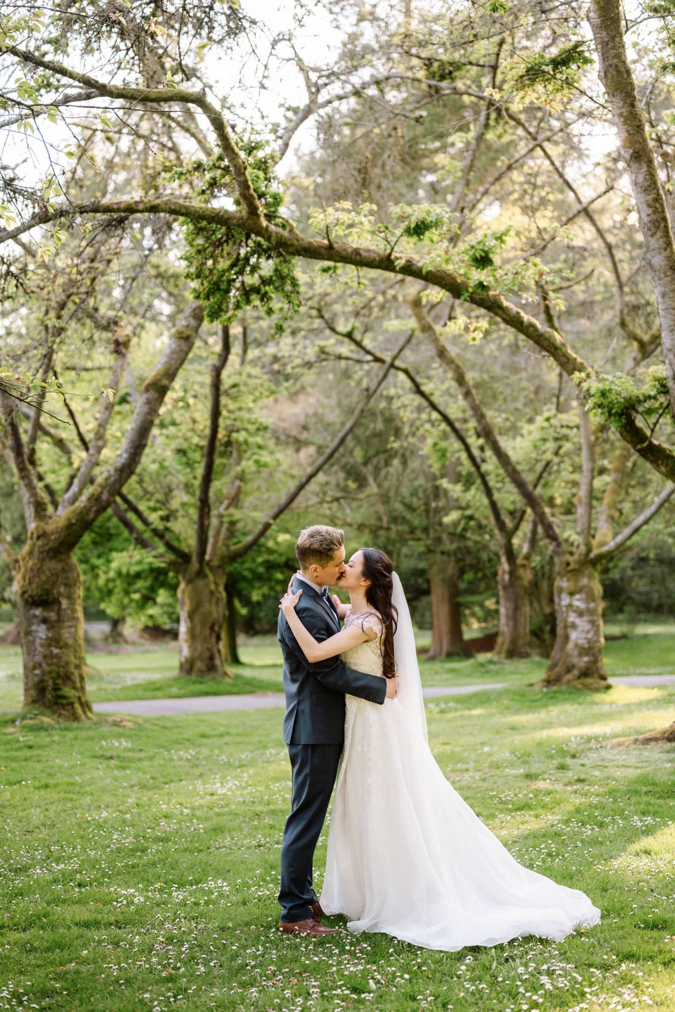 Bride and groom embracing beneath the trees on the lawn