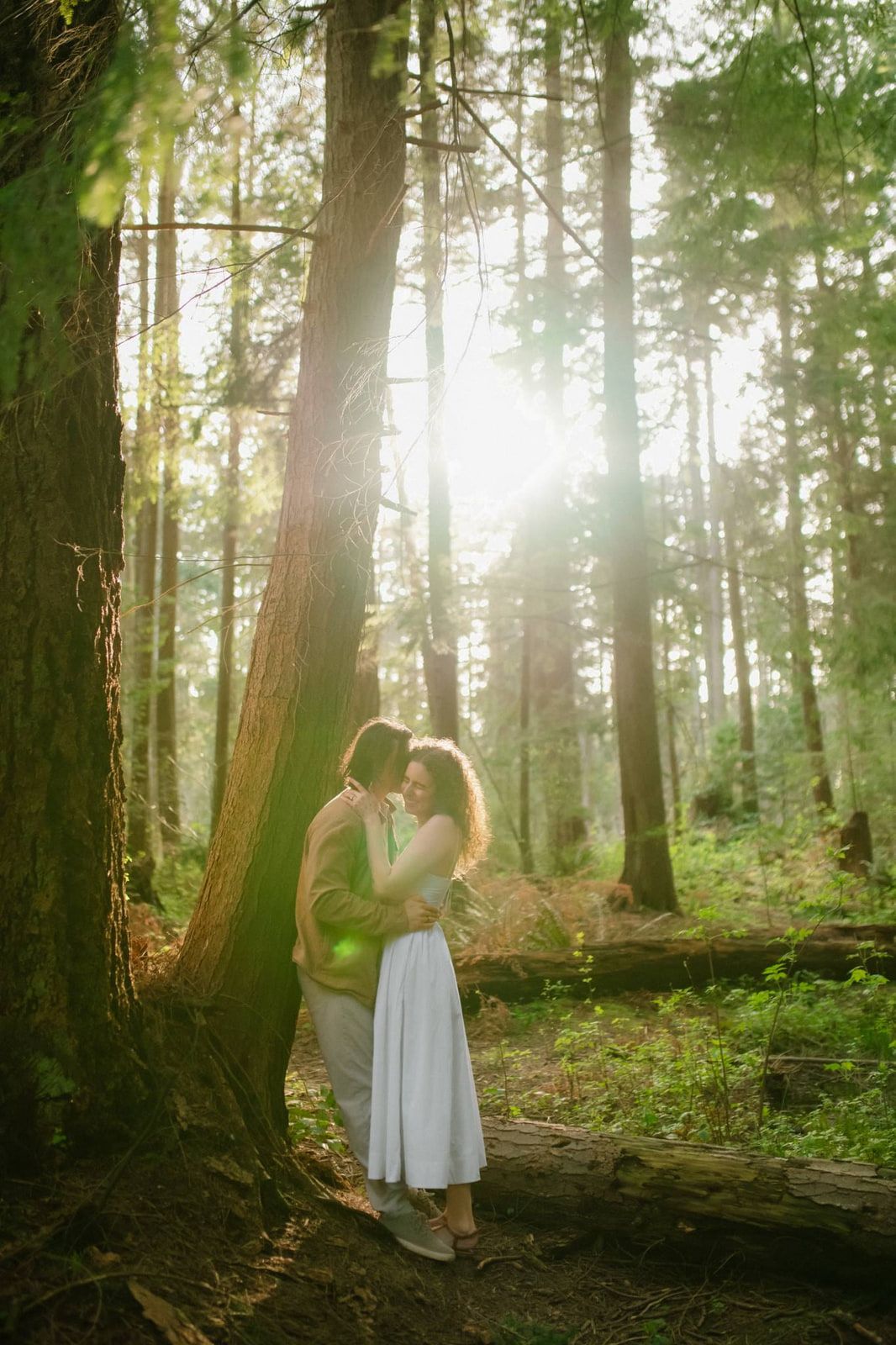 Wedding outdoor shoot through the forest, a couple embraces between tall trees as sunlight streams