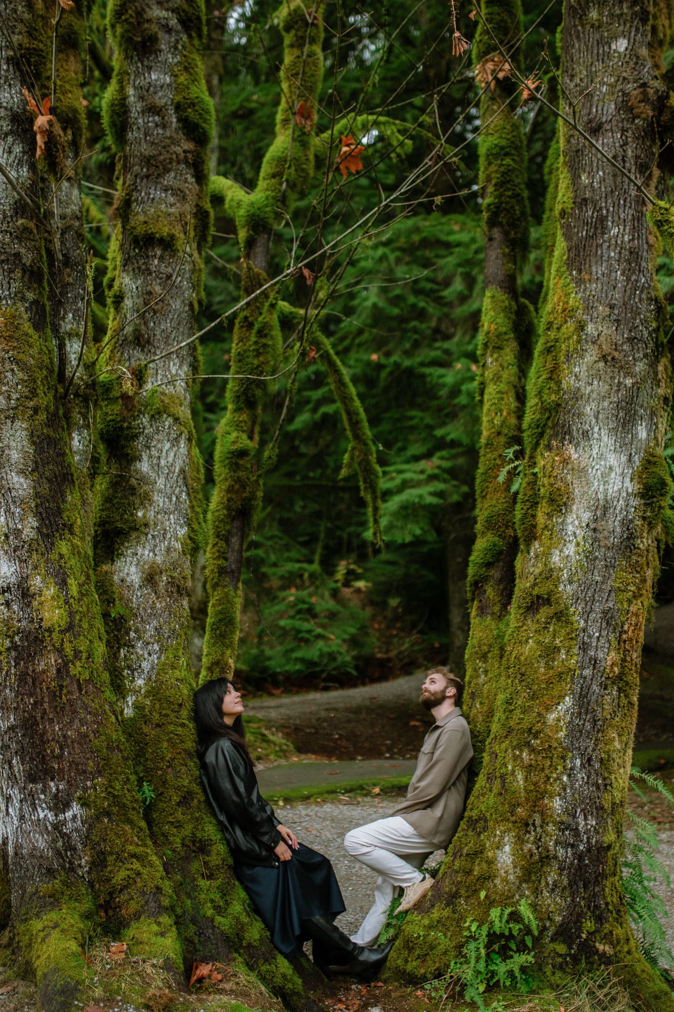 Forest engagement shoot, couple sitting at the foot of giant mossy trees