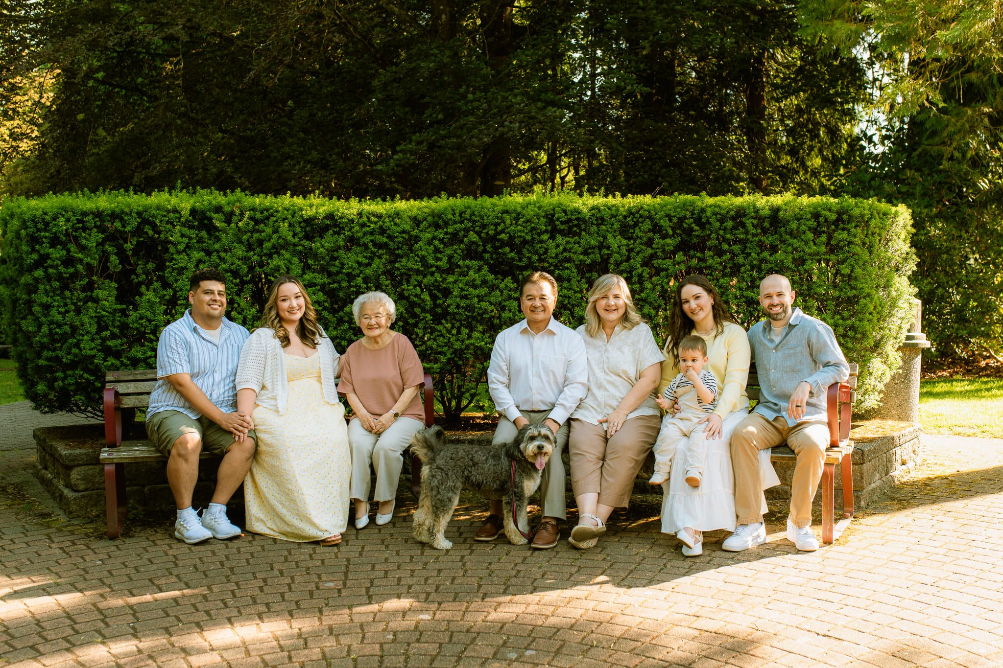 Dog family photoshoot in front of a hedge, extended family and their dog sitting on a garden bench