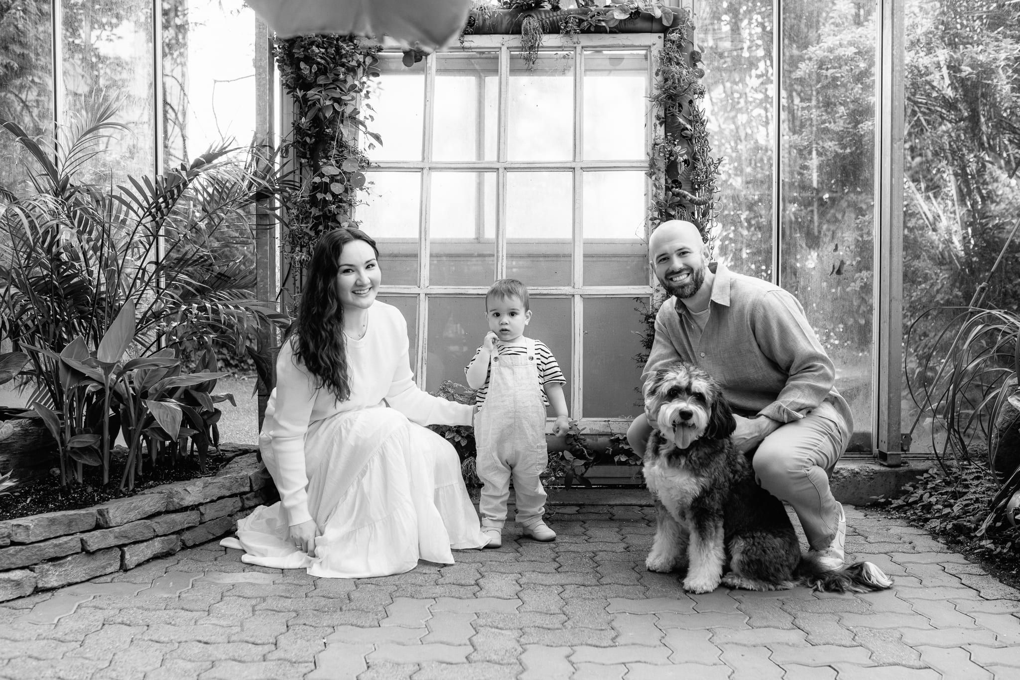 Family pet photoshoot in a garden glasshouse, parents, toddler and their dog, in black and white