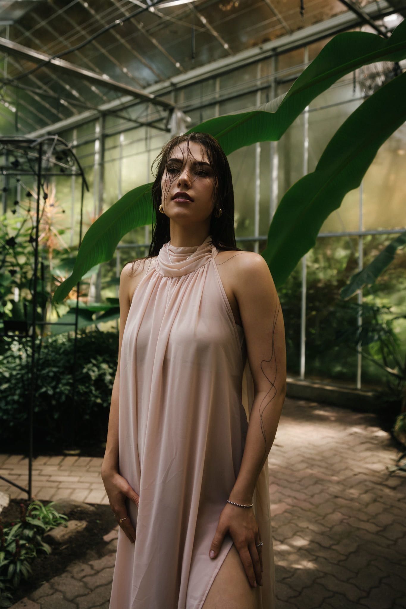 Business branding photoshoot in a glass greenhouse, woman in a blush gown, an editorial portrait