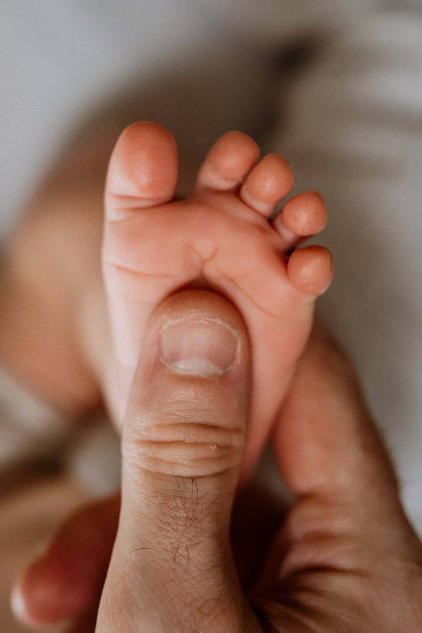 Close-up of a newborn's tiny foot cupped in a parent's hand