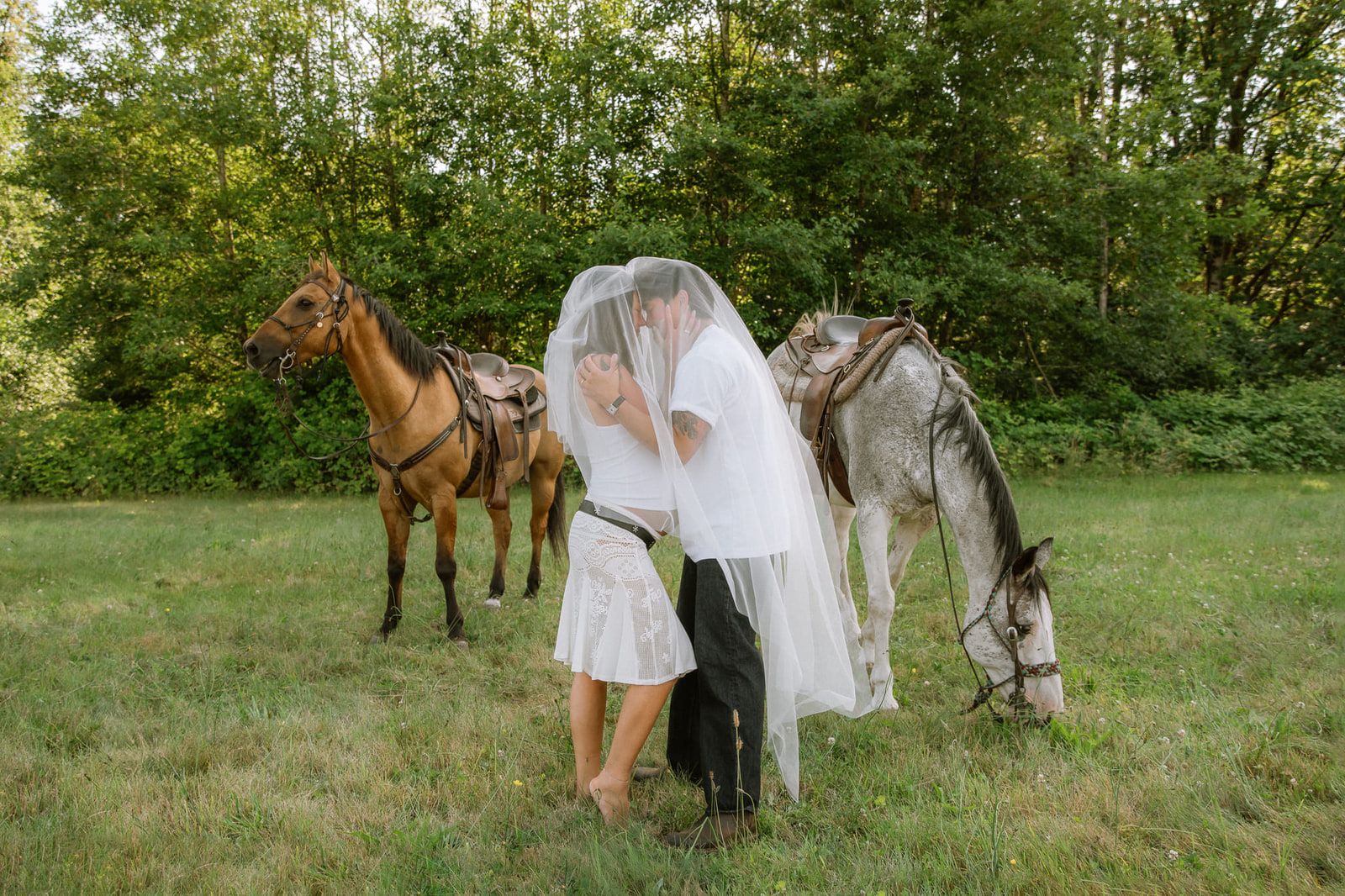 Maternity photography in Langley, BC, expecting couple under a sheer veil beside two grazing horses