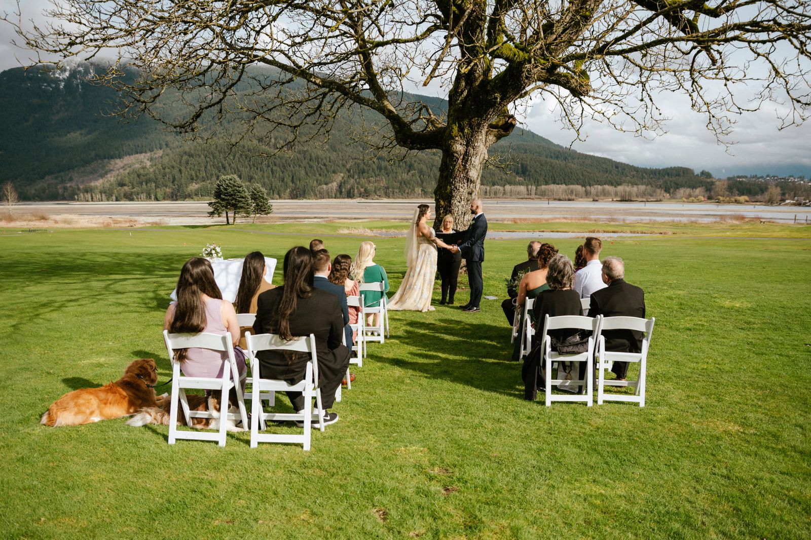 Wedding photography in Vancouver, BC, a small outdoor ceremony under a large tree by the river, guests on white folding chairs, mountains behind