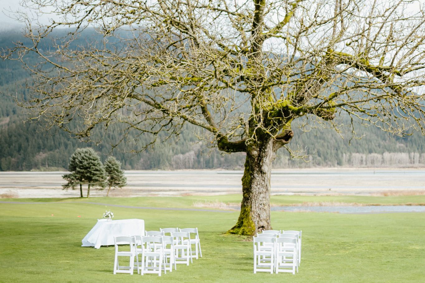 Coquitlam wedding photography, white chairs set for a small outdoor ceremony under a tree below the mountains