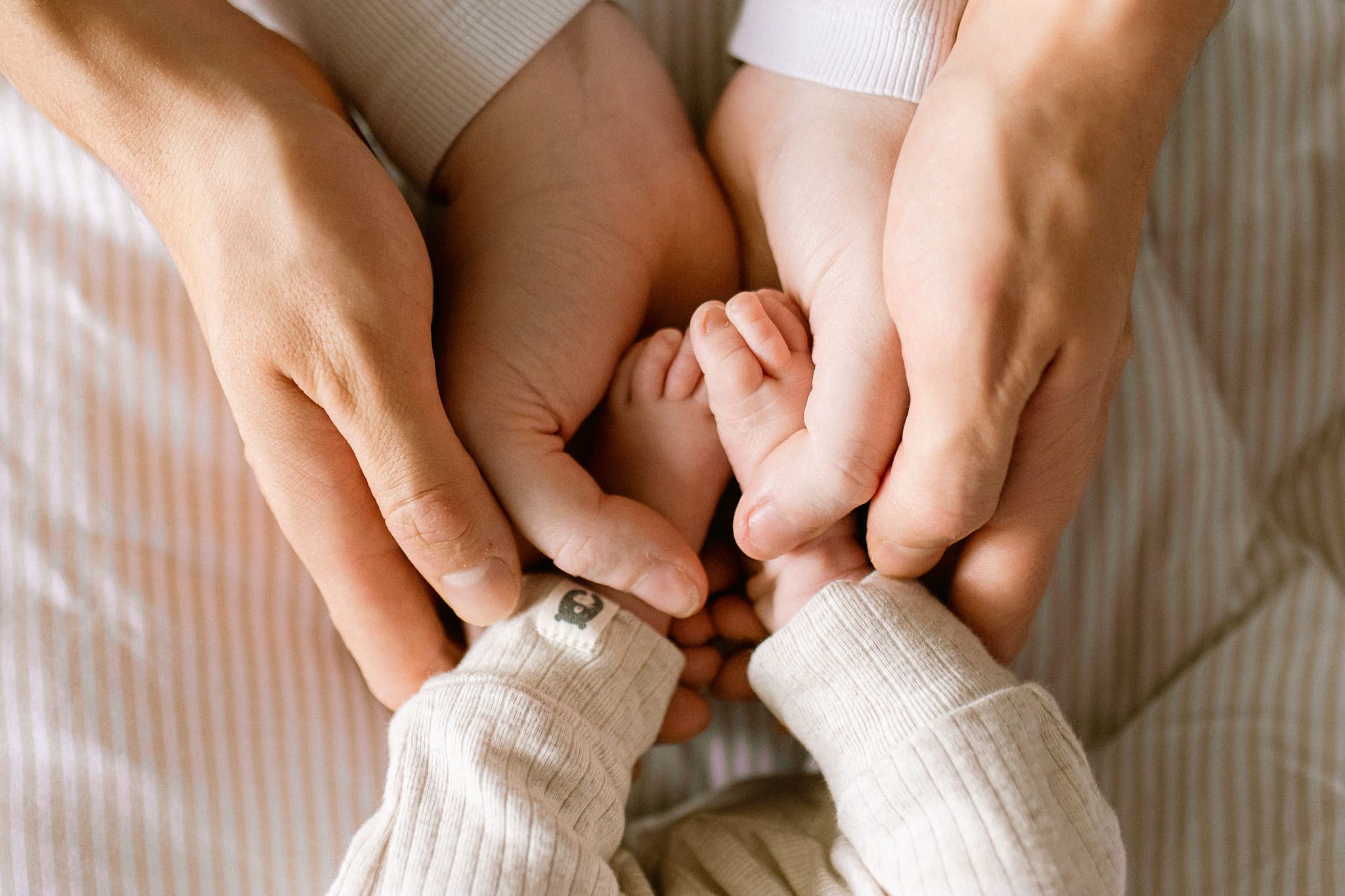 Newborn and family photos, parents' hands holding their newborn's tiny feet