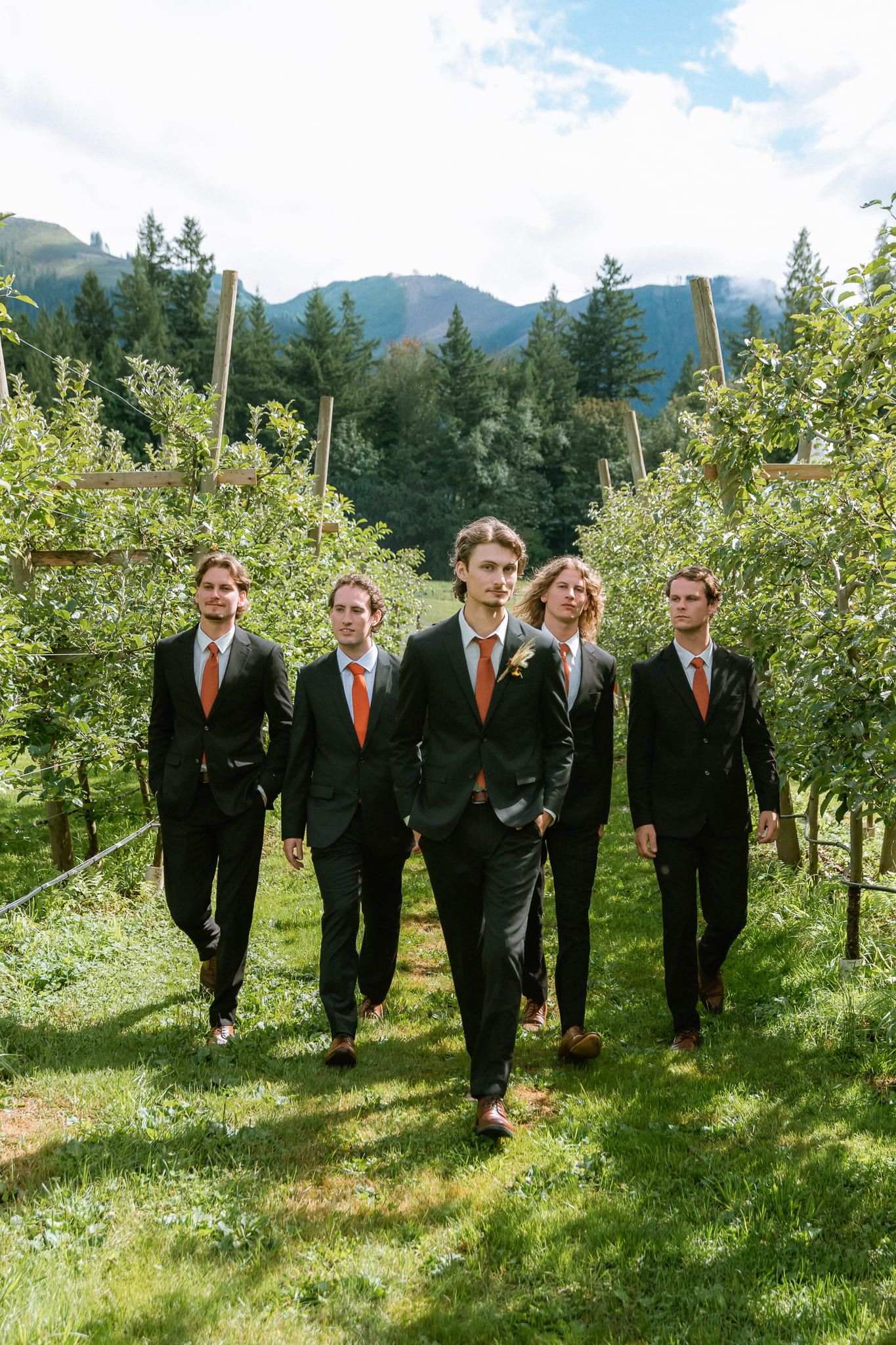 Wedding photos, groomsmen in black suits walking through an orchard