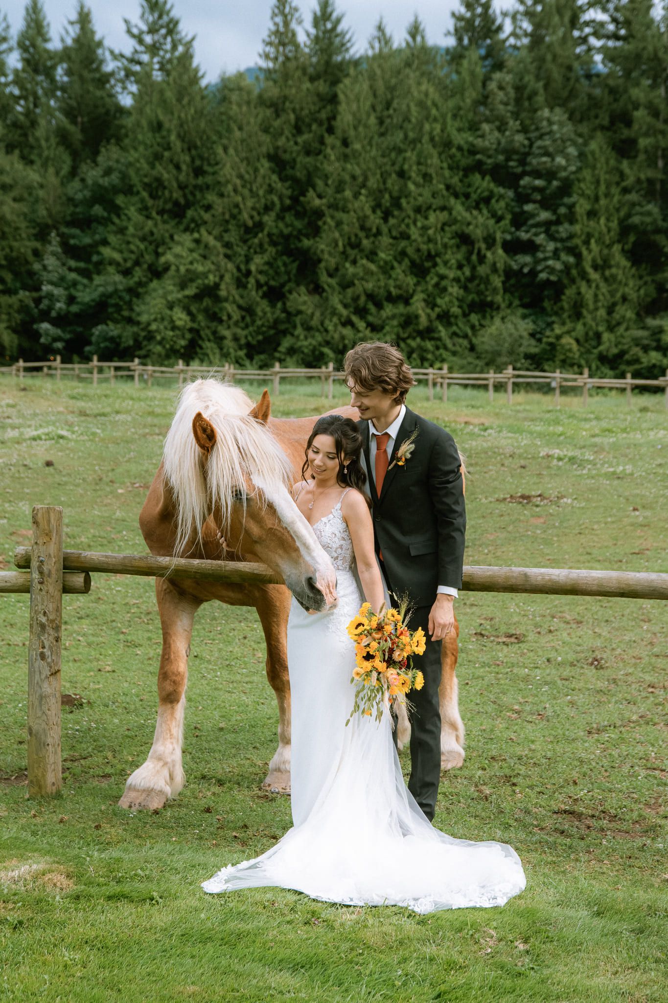 Creative wedding photography, bride and groom by a paddock fence with a palomino horse